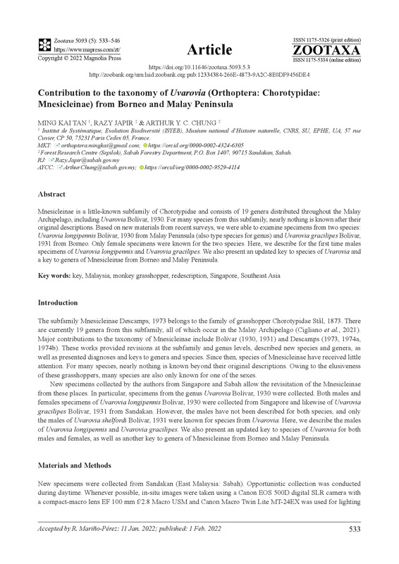 Contribution to the taxonomy of Uvarovia (Orthoptera: Chorotypidae: Mnesicleinae) from Borneo and Malay Peninsula