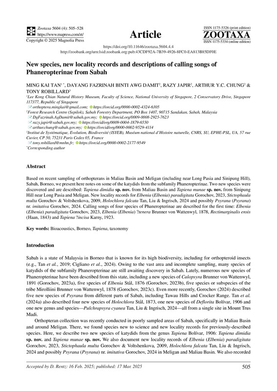 New species, new locality records and descriptions of calling songs of Phaneropterinae from Sabah