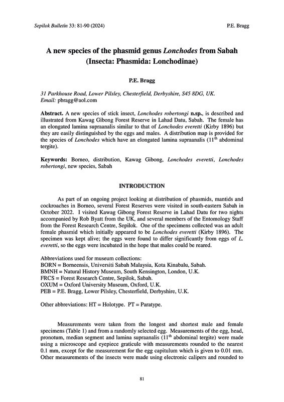 A new species of the phasmid genus Lonchodes from sabah (Insecta: Phasmida: Lonchodinae)