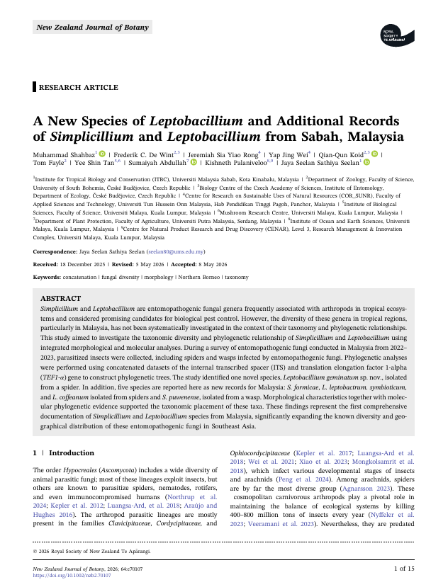 A New Species of Leptobacillium and Additional Records of Simplicillium and Leptobacillium from Sabah, Malaysia