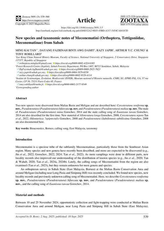 New species and taxonomic notes of Meconematini (Orthoptera, Tettigoniidae, Meconematinae) from Sabah