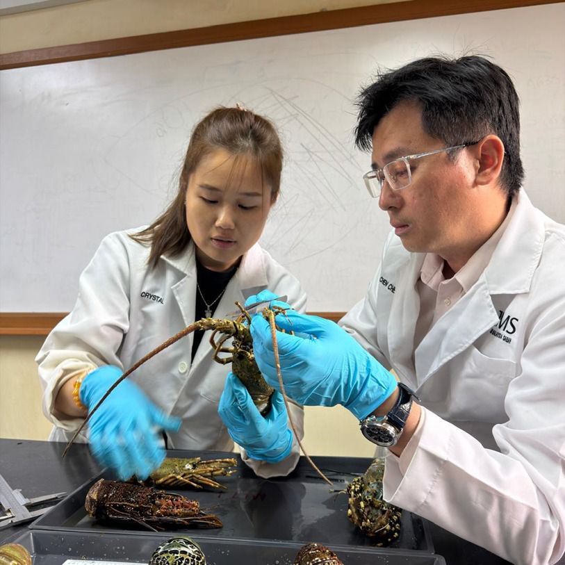 UMS Researchers Record Three New Spiny Lobster Species