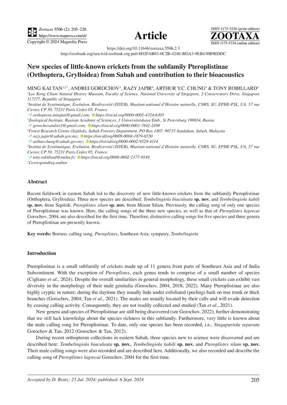 New species of little-known crickets from the subfamily Pteroplistinae (Orthoptera, Grylloidea) from Sabah and contribution to their bioacoustics
