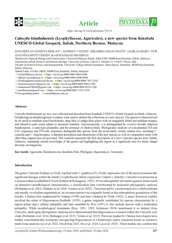 Calocybe kinabaluensis (Lyophyllaceae, Agaricales), a new species from Kinabalu  UNESCO Global Geopark, Sabah, Northern Borneo, Malaysia