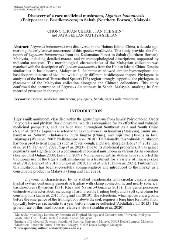 Discovery of a rare medicinal mushroom, Lignosus hainanensis (Polyporaceae, Basidiomycota) in Sabah (Northern Borneo), Malaysia