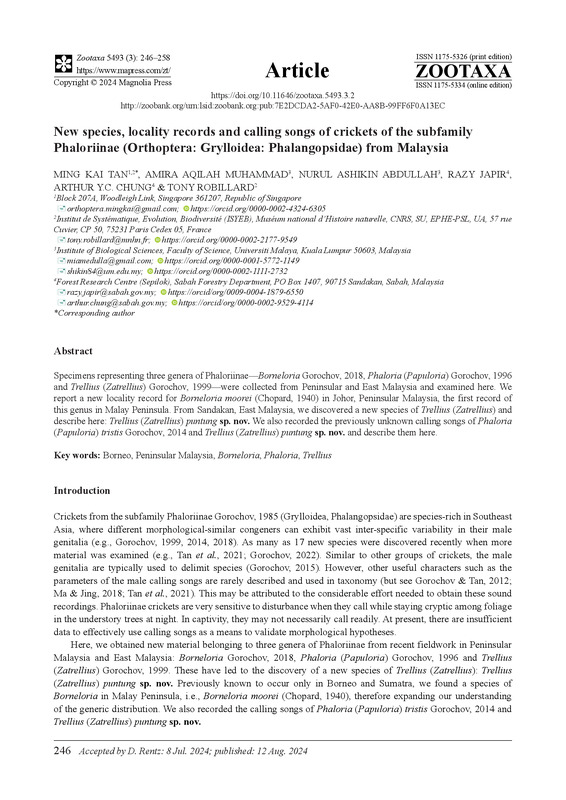 New species, locality records and calling songs of crickets of the subfamily Phaloriinae (Orthoptera: Grylloidea: Phalangopsidae) from Malaysia