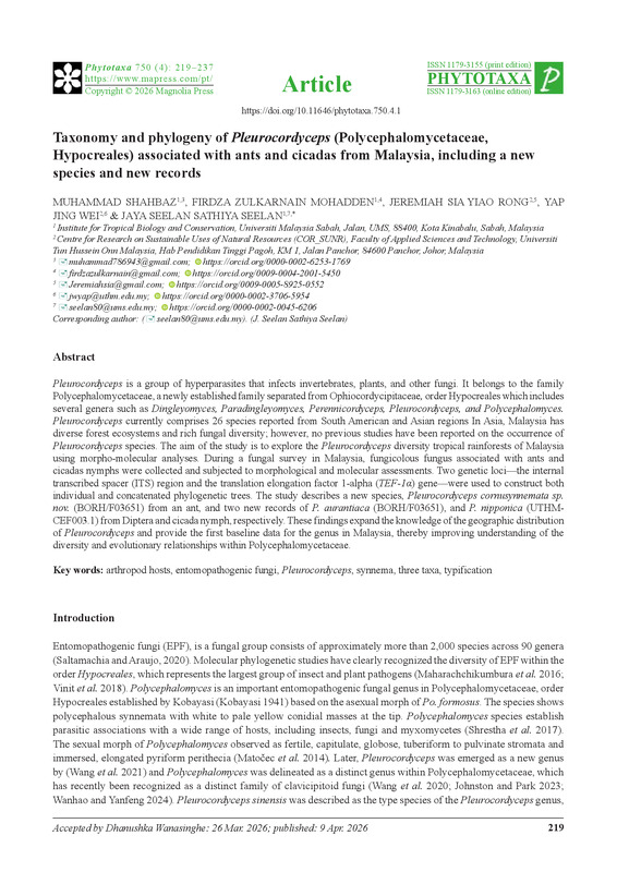 Taxonomy and phylogeny of Pleurocordyceps (Polycephalomycetaceae, Hypocreales) associated with ants and cicadas from Malaysia, including a new species and new records