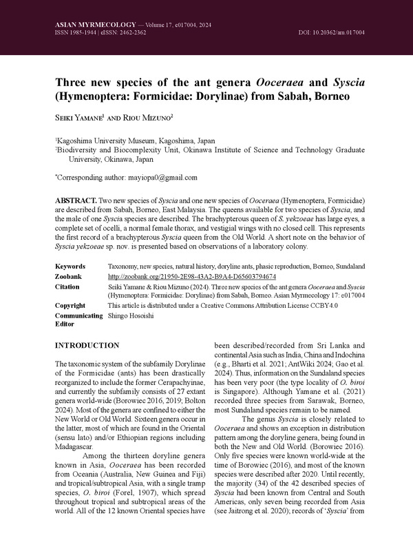 Three new species of the ant genera Ooceraea and Syscia (Hymenoptera: Formicidae: Dorylinae) from Sabah, Borneo