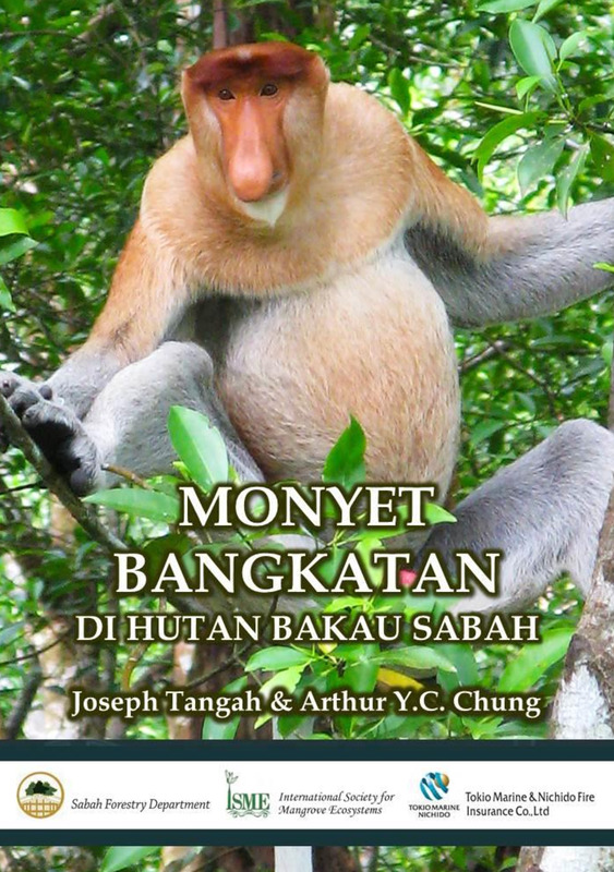 Monyet Bangkatan Di Hutan Bakau Sabah