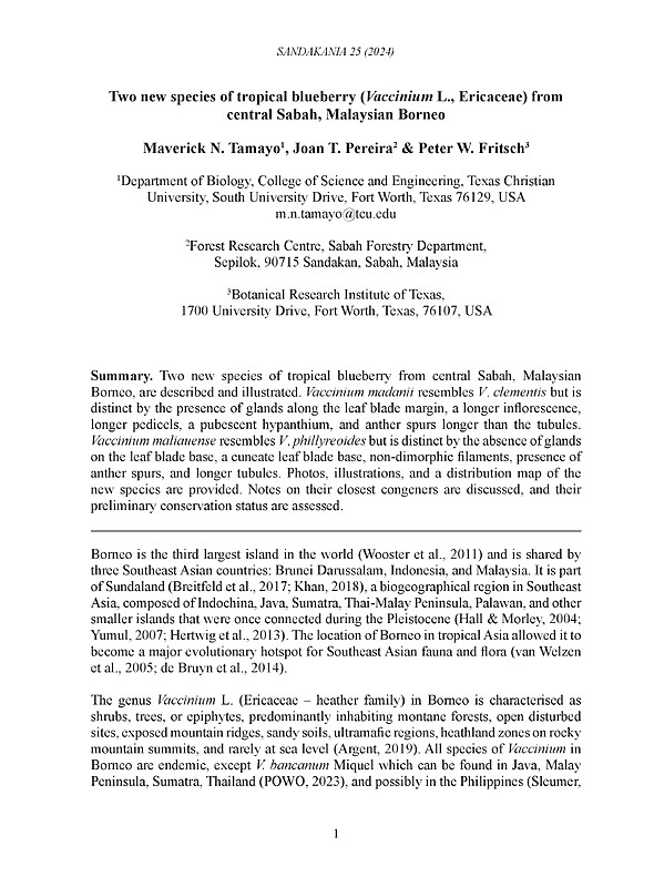 Two new species of tropical blueberry (Vaccinium L., Ericaceae) from  central Sabah, Malaysian Borneo