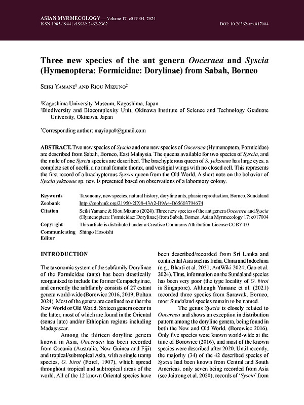 Three new species of the ant genera Ooceraea and Syscia (Hymenoptera: Formicidae: Dorylinae) from Sabah, Borneo