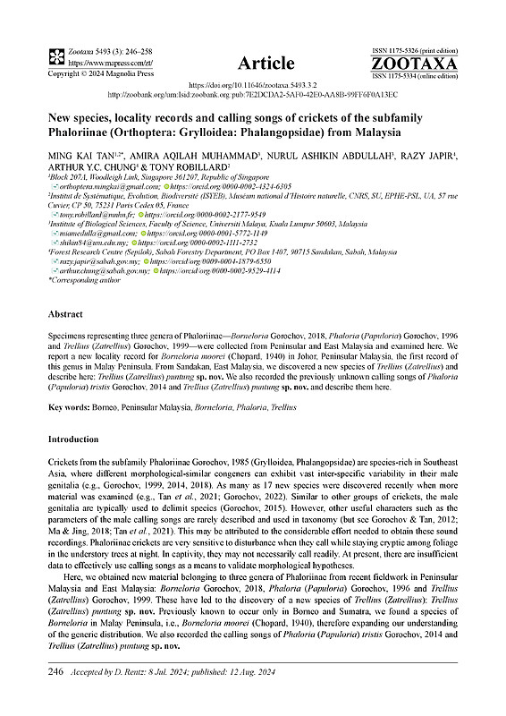 New species, locality records and calling songs of crickets of the subfamily Phaloriinae (Orthoptera: Grylloidea: Phalangopsidae) from Malaysia