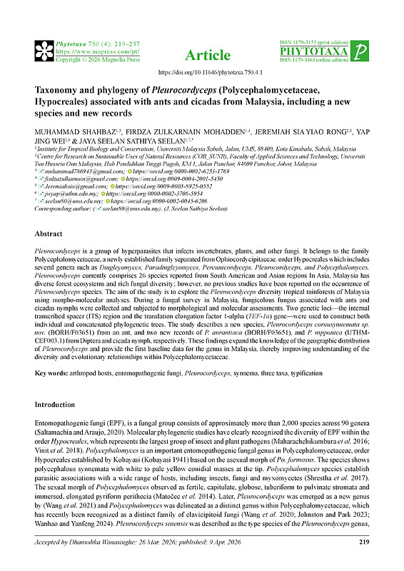 Taxonomy and phylogeny of Pleurocordyceps (Polycephalomycetaceae, Hypocreales) associated with ants and cicadas from Malaysia, including a new species and new records