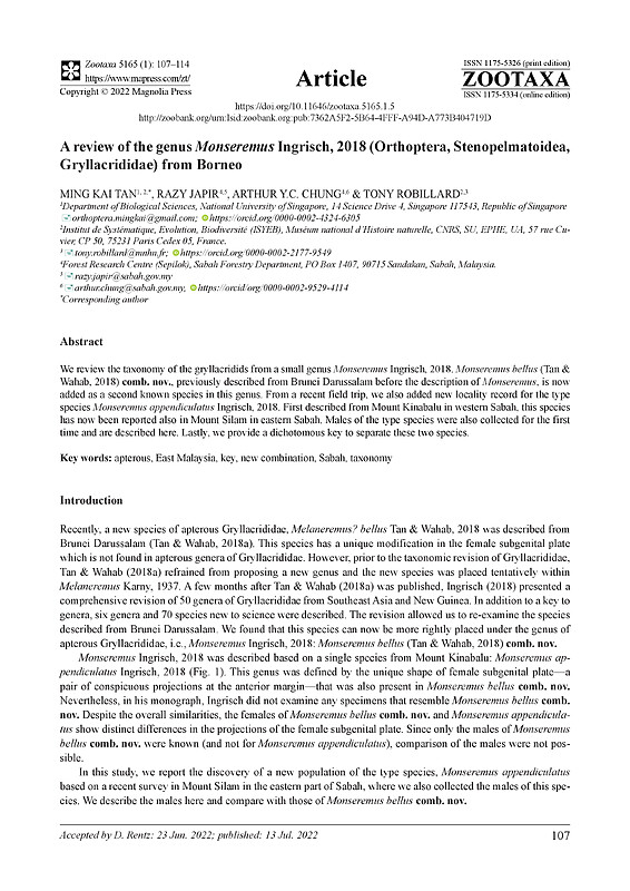 A review of the genus Monseremus Ingrisch, 2018 (Orthoptera, Stenopelmatoidea, Gryllacrididae) from Borneo