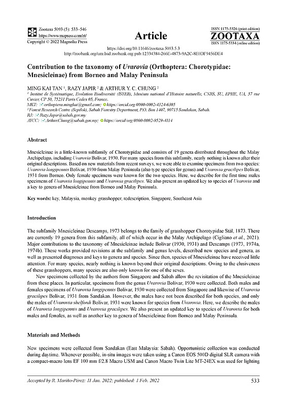 Contribution to the taxonomy of Uvarovia (Orthoptera: Chorotypidae: Mnesicleinae) from Borneo and Malay Peninsula