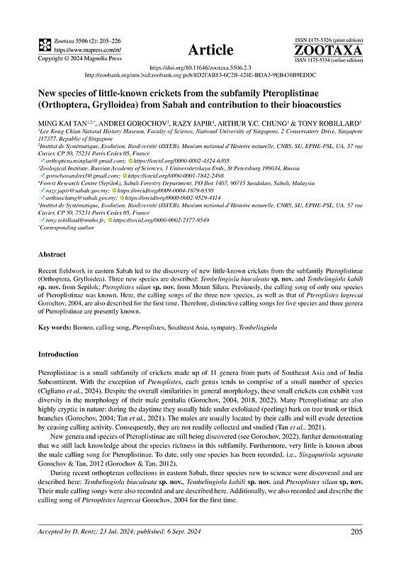 New species of little-known crickets from the subfamily Pteroplistinae (Orthoptera, Grylloidea) from Sabah and contribution to their bioacoustics