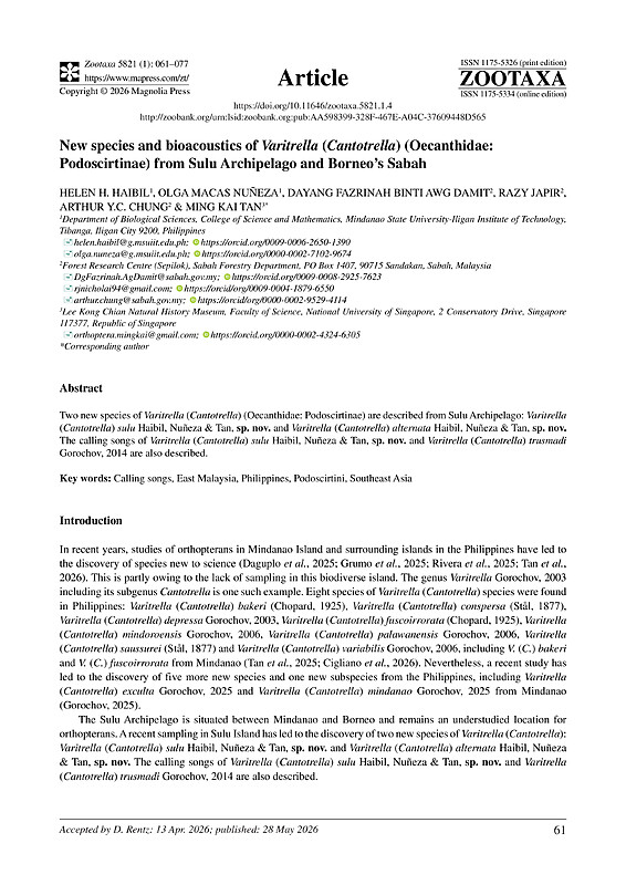 New species and bioacoustics of Varitrella (Cantotrella) (Oecanthidae: Podoscirtinae) from Sulu Archipelago and Borneo’s Sabah